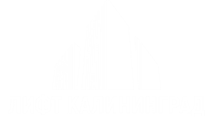 �� ���� �����������